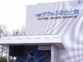 鮭鱒勢揃い